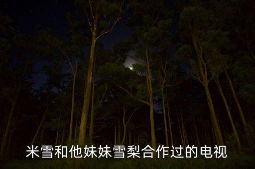米雪和他妹妹雪梨合作过的电视