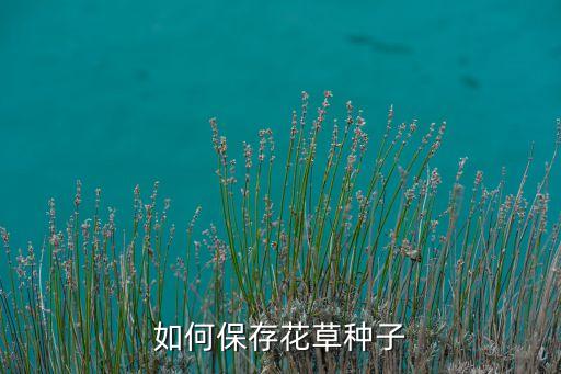 山丹丹花种子如何保存，怎样保存牡丹花的种子