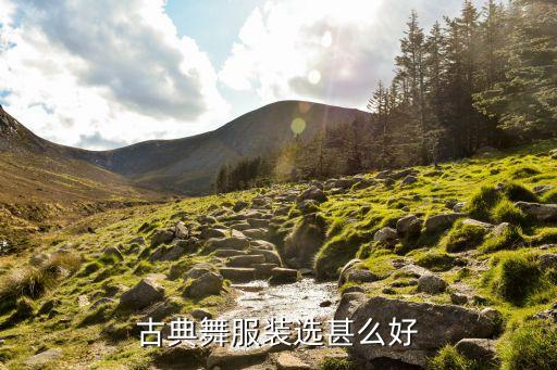 古典舞服装选甚么好