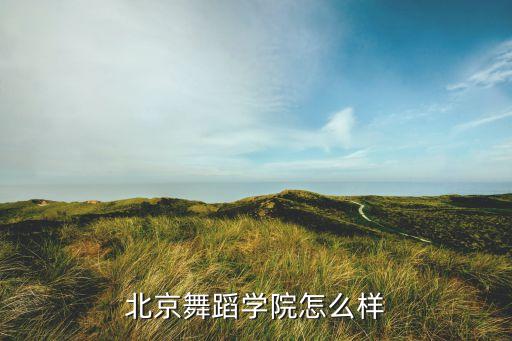 北京舞蹈学校如何，北京领秀舞蹈学校好不好