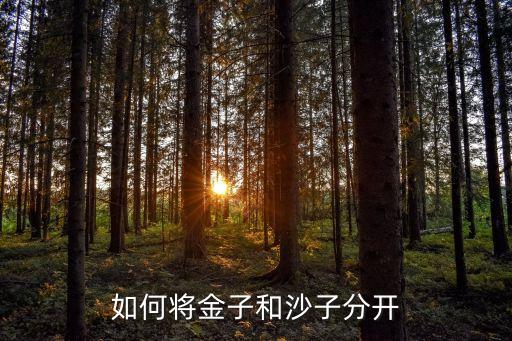 如何将金子和沙子分开