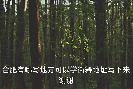 合肥有哪写地方可以学街舞地址写下来谢谢