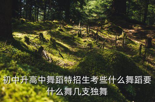 初中升高中舞蹈特招生考些什么舞蹈要什么舞几支独舞