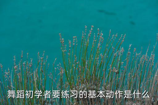 舞蹈初学者要练习的基本动作是什么