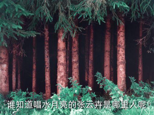 水月亮是哪里的民歌，荷塘月色这首歌是哪个地区的