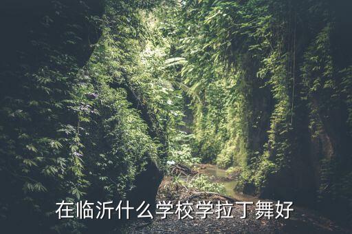 在临沂什么学校学拉丁舞好
