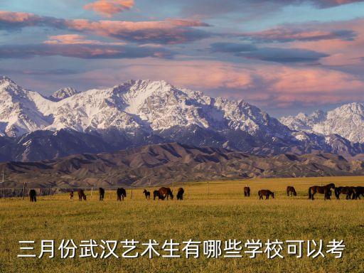 武汉舞蹈生可以报考哪个学校，三月份武汉艺术生有哪些学校可以考