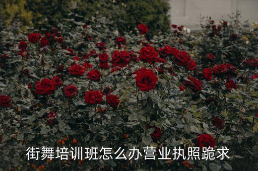 街舞培训班怎么办营业执照跪求