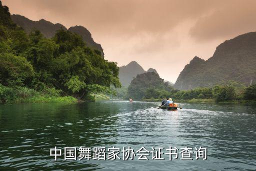 舞协舞蹈教师资格证查询，中国舞蹈家协会证书查询