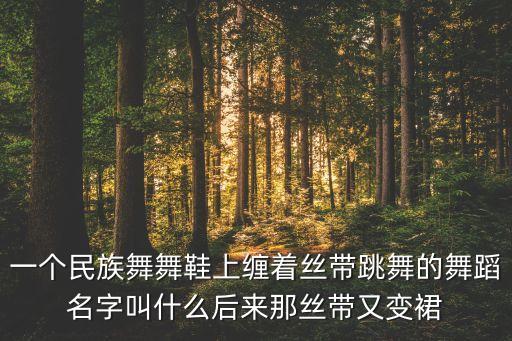 舞蹈鞋跳什么舞，板鞋适合跳什么舞