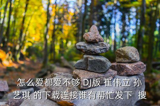 怎么爱都爱不够 DJ版 崔伟立 孙艺琪 的下载连接谁有帮忙发下  搜