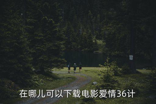 在哪儿可以下载电影爱情36计