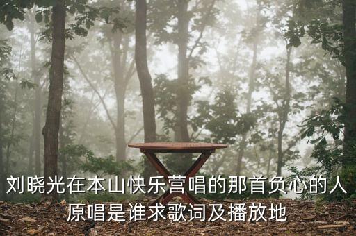 负心的人你在哪里mp3，刘小光唱的歌曲 负心的人 在哪能下载到啊