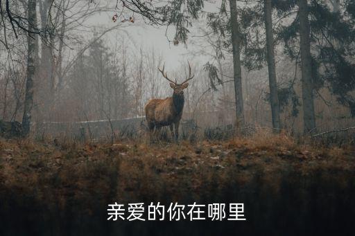 江南雨广场舞亲爱的你在哪里，亲爱的你在哪里