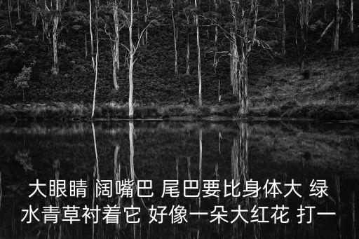 龙姑姑广场舞大眼睛，大眼睛 阔嘴巴 尾巴要比身体大 绿水青草衬着它 好像一朵大红花 打一