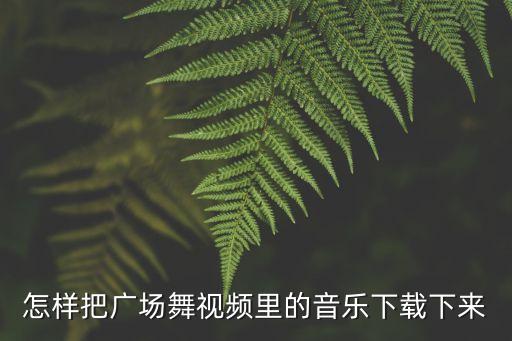 怎样把广场舞视频里的音乐下载下来