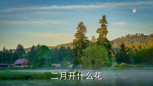 二月开什么花