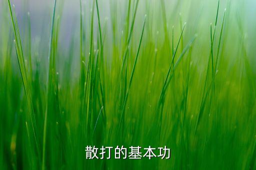 慢四基本功主要练什么，散打基本功训练包括哪些内容