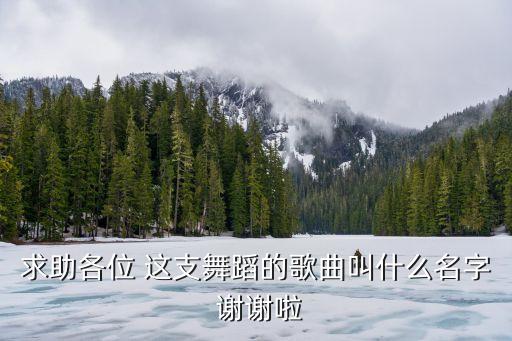 求助各位 这支舞蹈的歌曲叫什么名字 谢谢啦