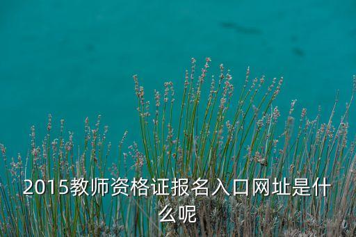 2015教师资格证报名入口网址是什么呢