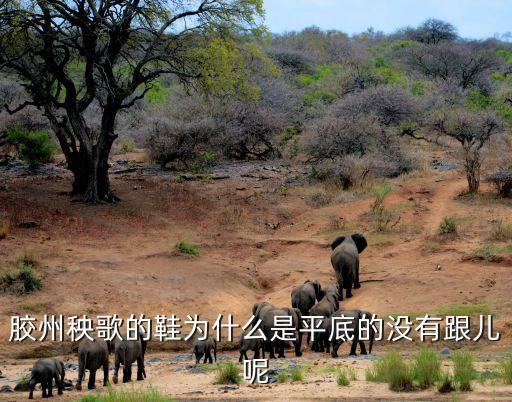 胶州秧歌的鞋为什么是平底的没有跟儿呢