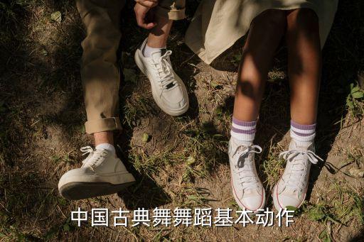 中国古典舞舞蹈基本动作