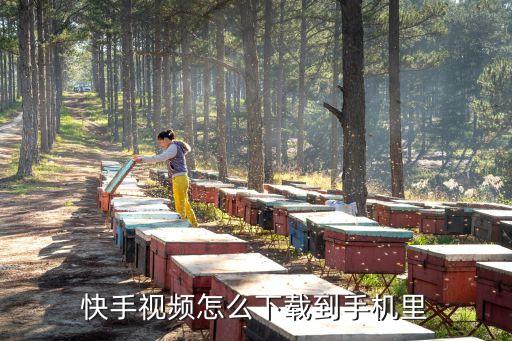 快手视频怎么下载到手机里