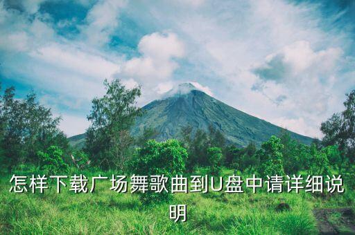 24步的广场舞用什么音乐下载，求二十四步广场舞的音乐