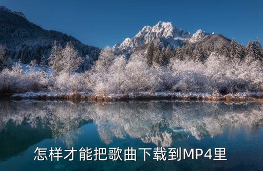 怎样才能把歌曲下载到MP4里