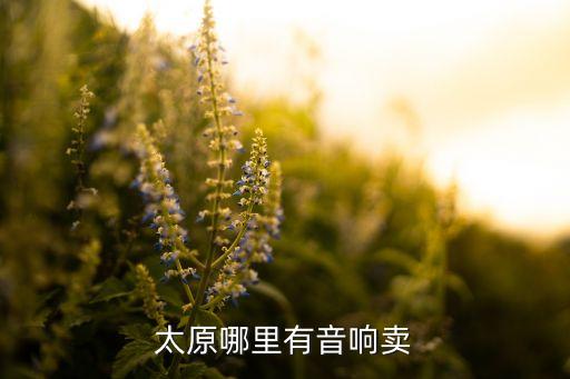 太原哪里有音响卖