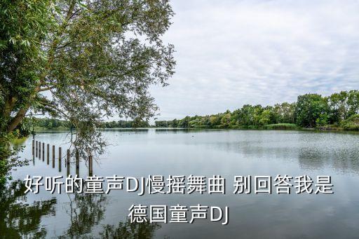 儿童舞曲大全dj广场舞，求几首小孩的DJ 越HI越好 越有节奏越好