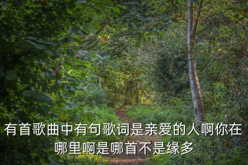 有首歌曲中有句歌词是亲爱的人啊你在哪里啊是哪首不是缘多