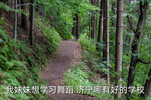 济宁有哪些舞蹈学校，想请问山东济宁市的朋友有知道济宁西郊小飞天舞蹈学校的具体位置