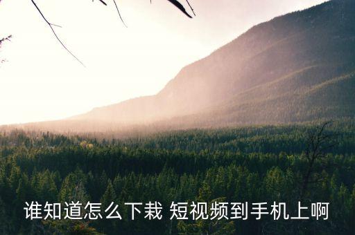 谁知道怎么下栽 短视频到手机上啊