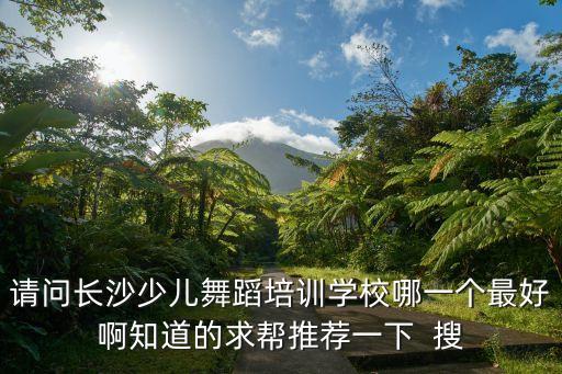 长沙舞蹈培训机构学校有哪些，长沙哪里有好的舞蹈培训学校没希望给个具体地址