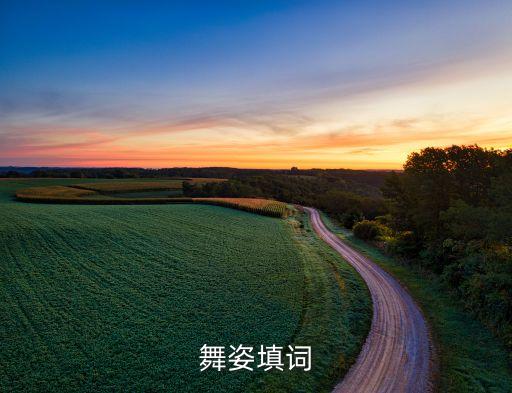舞姿填词