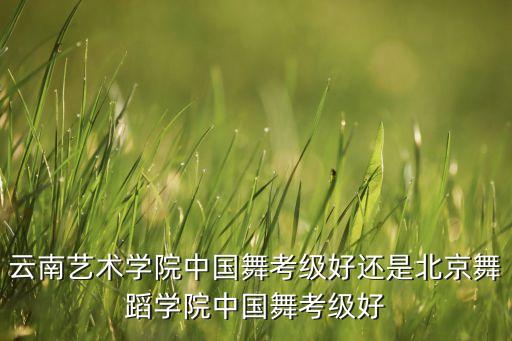 云南艺术学院中国舞考级好还是北京舞蹈学院中国舞考级好