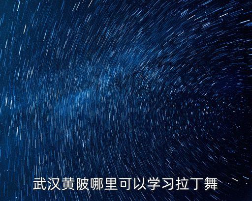 黄陂有哪些学舞蹈的，武汉黄陂有没有街舞学校