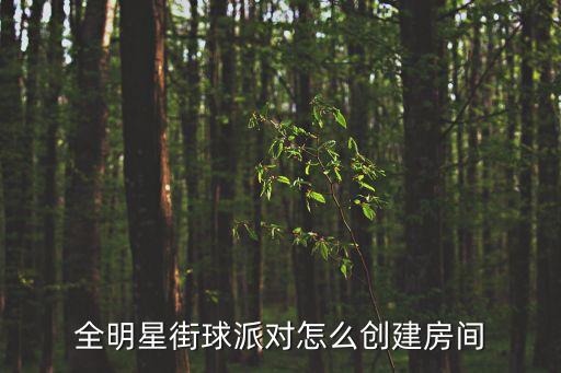 全明星派对空间，shuiying 全明星