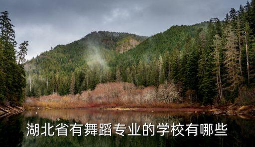 武汉有哪些舞蹈系大学招生，武汉有什么比较好的大学 招舞蹈生吗