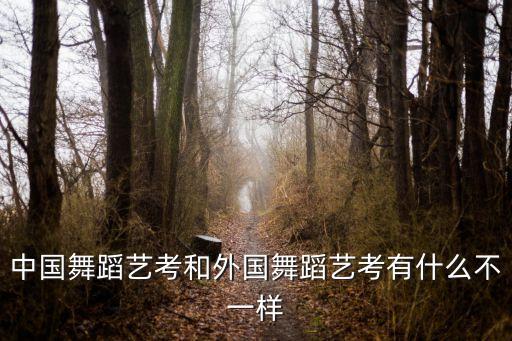中国舞蹈艺考和外国舞蹈艺考有什么不一样