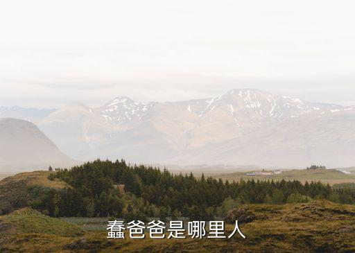 蠢爸爸是哪里人