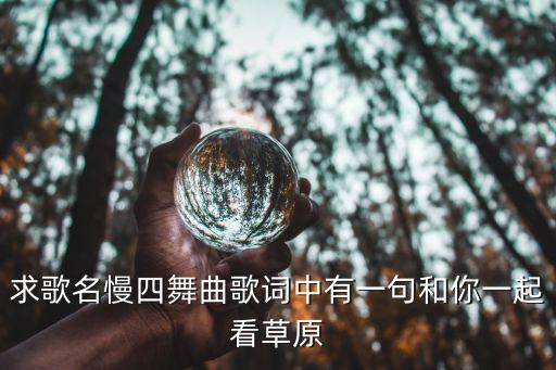 求歌名慢四舞曲歌词中有一句和你一起看草原