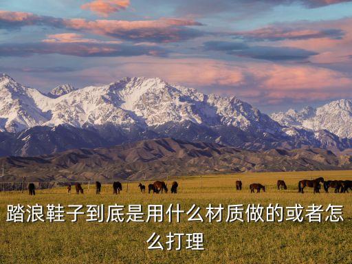 踏浪鞋子到底是用什么材质做的或者怎么打理