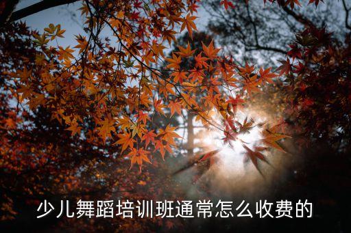 少儿舞蹈培训班通常怎么收费的