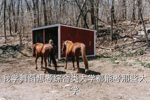 我学舞蹈想考综合类大学都能考那些大学