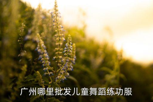 儿童舞蹈服装批发，在哪里有儿童舞蹈服卖