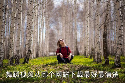 舞蹈视频都在哪个网下载地址，到哪个网站下载舞蹈视频最好