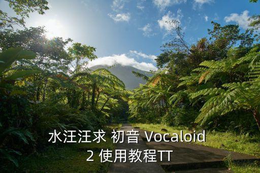 水汪汪求 初音 Vocaloid 2 使用教程TT
