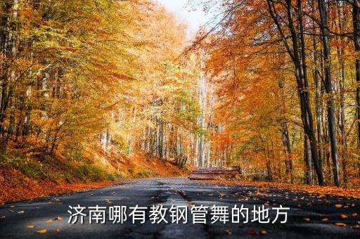 济南哪有教钢管舞的地方